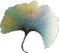 cropped zyber heilpraxis 1.png
